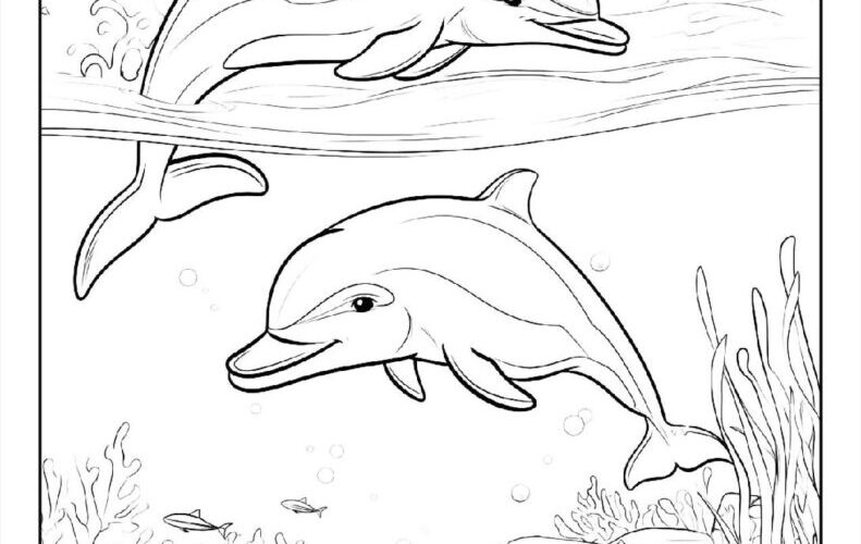 100 Dolphin Coloring Pages Free PDF To Print Woo Coloring