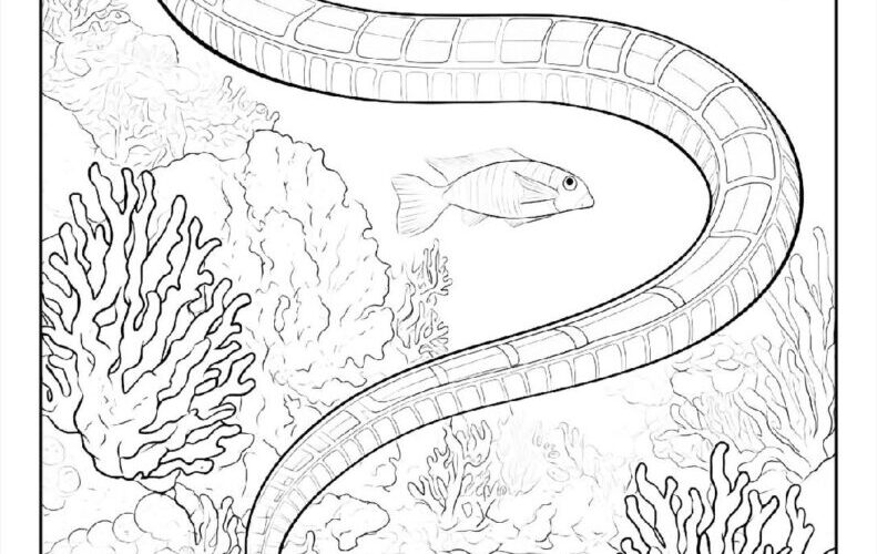 100 Snake Coloring Pages Free PDF To Print Woo Coloring