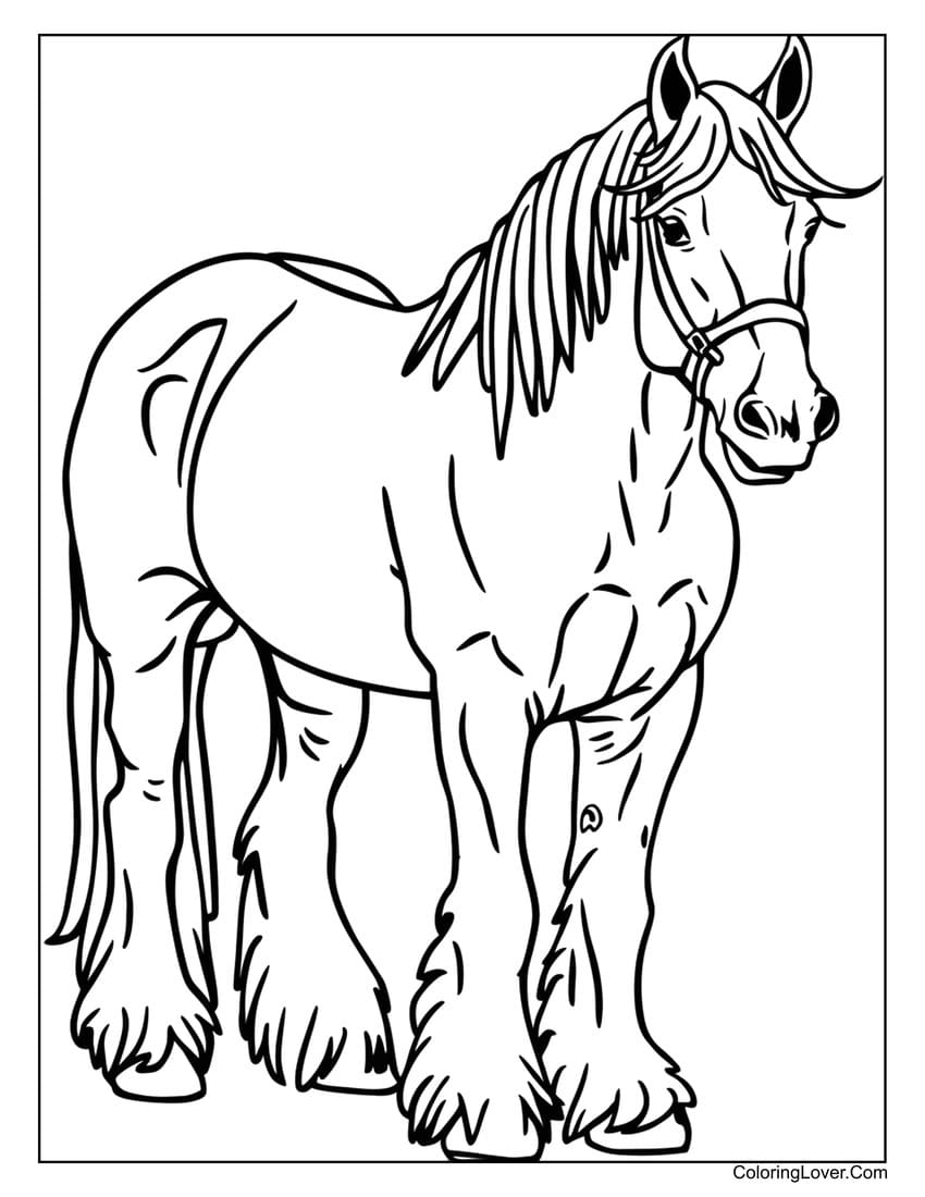 coloring pages of horses printable