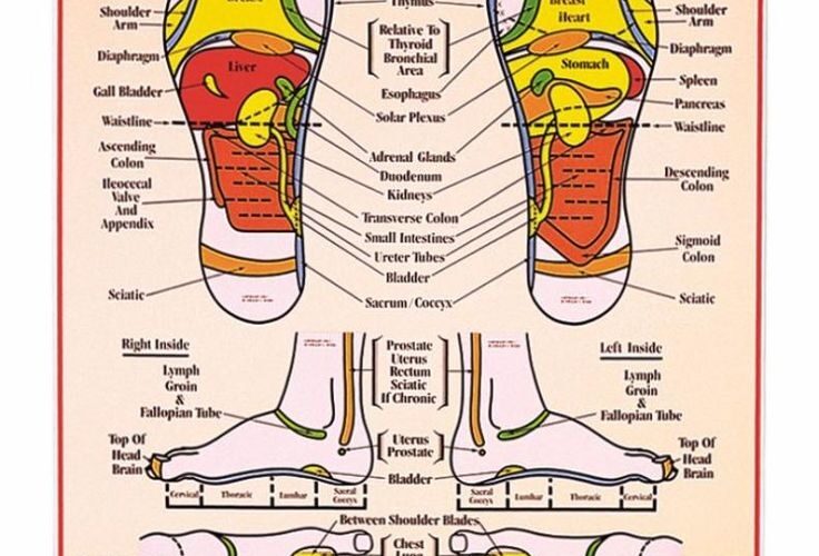 31 Printable Foot Reflexology Charts Maps TemplateLab