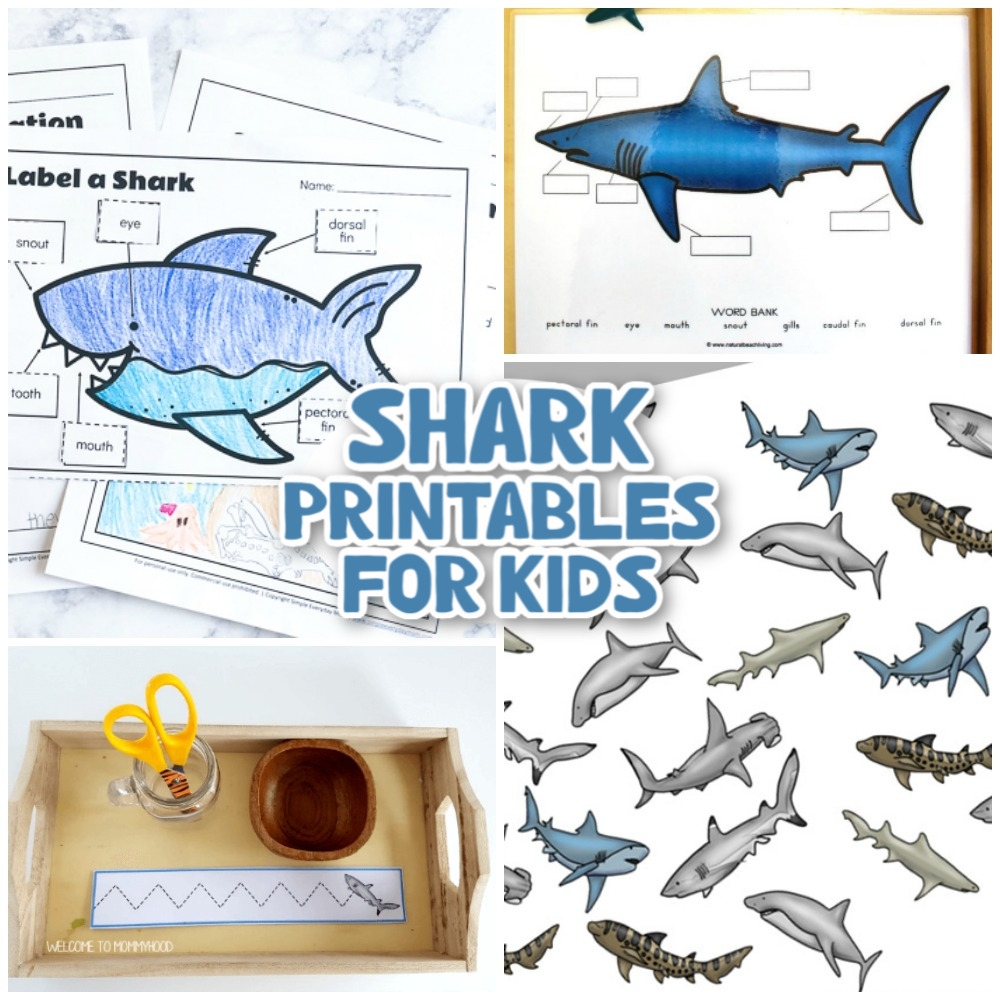 33 Best Shark Printables Templates And Activities Natural Beach Living