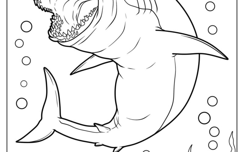 34 Shark Coloring Pages Free PDF Printables