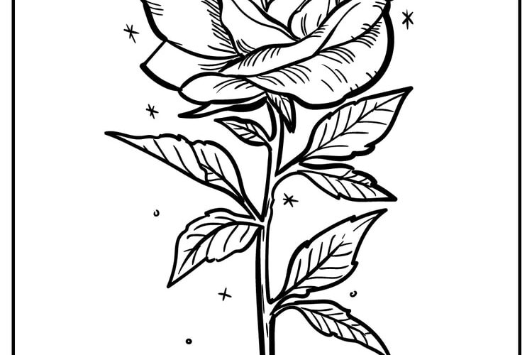 35 Rose Coloring Pages 100 Free To Download Print
