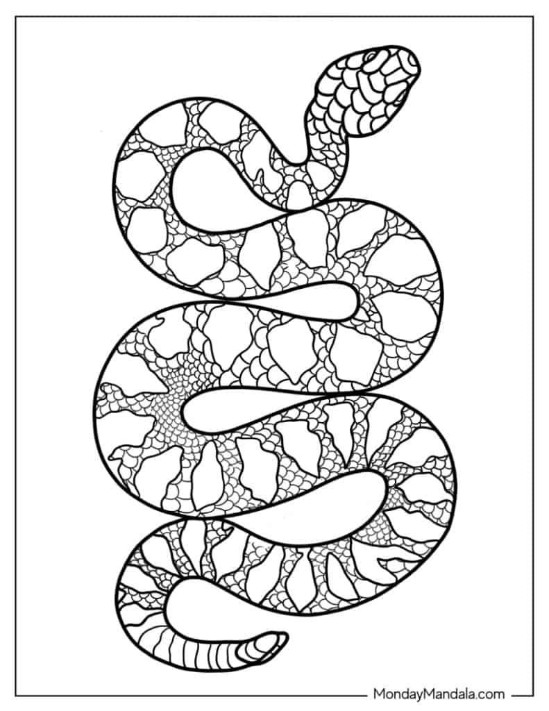 snake printable coloring pages