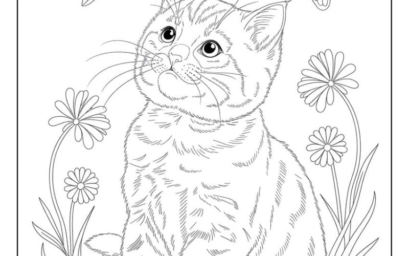 54 Cat Coloring Pages Free Printables For All Ages