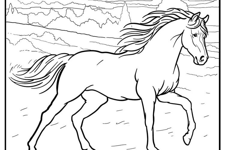 65 Horse Coloring Pages 100 Free Printables