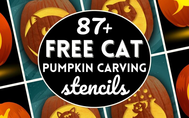 87 Free Cat Pumpkin Carving Stencils The Ultimate List