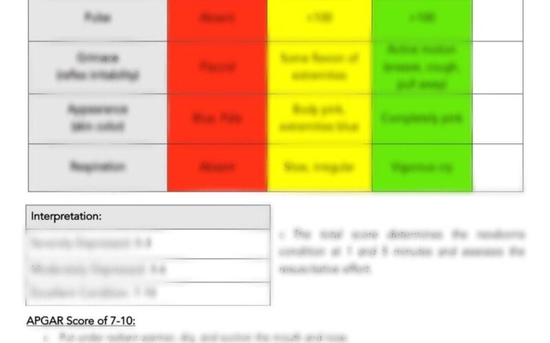 APGAR Scoring Chart For Respiratory Students Etsy