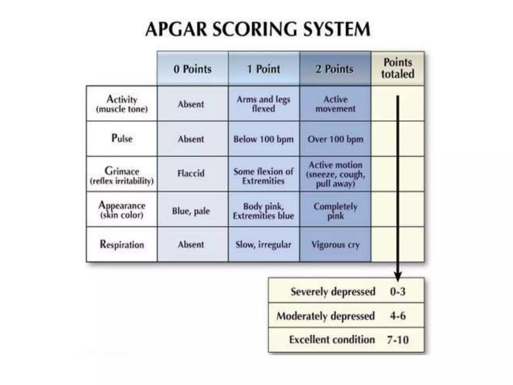 printable apgar score chart