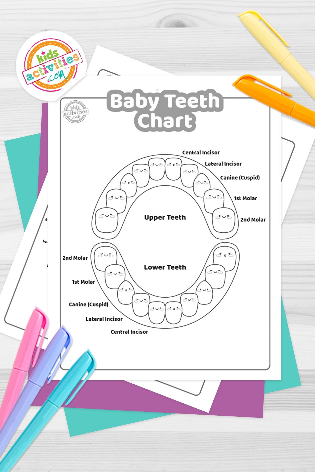 printable tooth chart