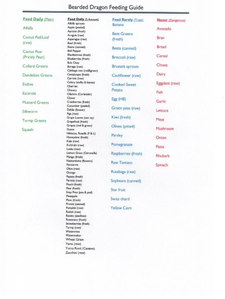 Bearded Dragon Food Chart