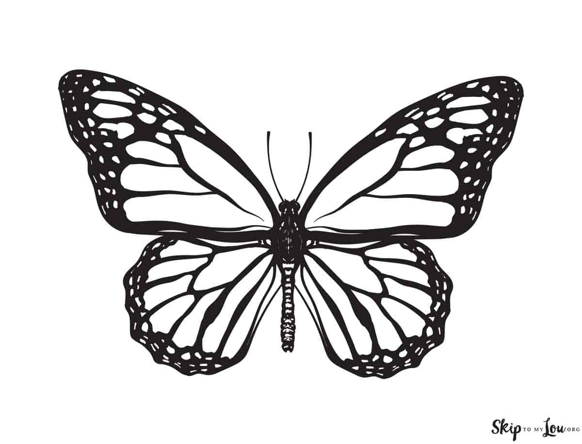 butterfly coloring pictures printable butterfly coloring pictures printable