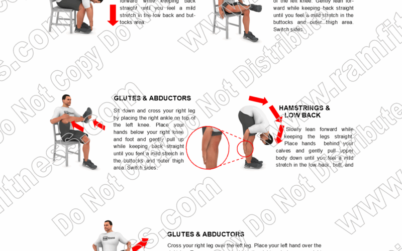 Buy Print License For Sciatica Stretching Guide Relieve Sciatic Nerve Pain With Targeted Stretches
