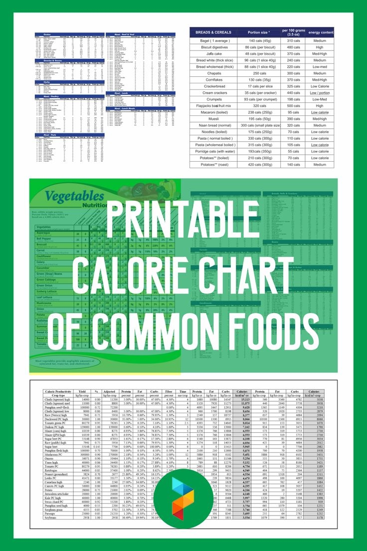 printable food calorie chart