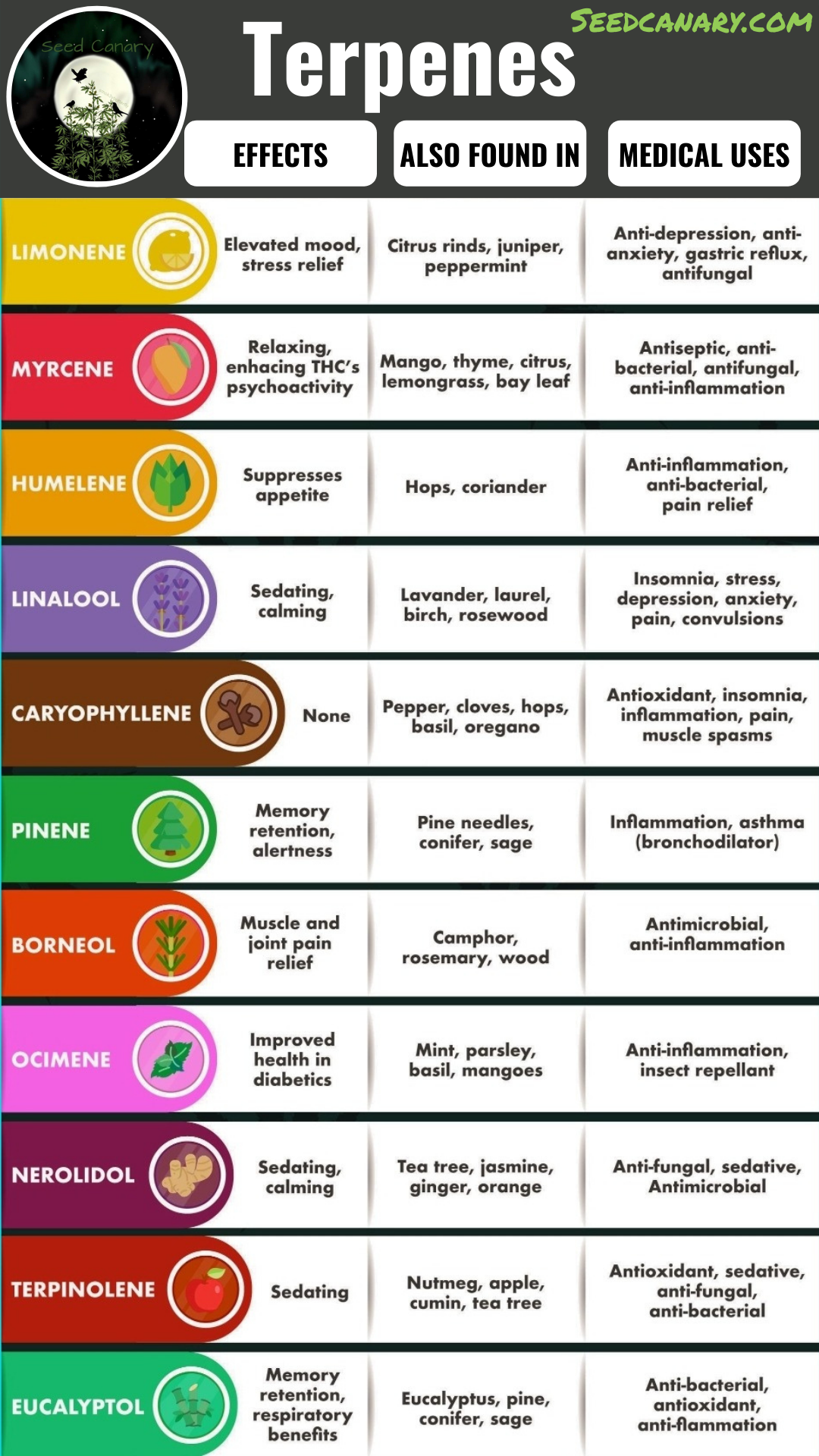 Cannabis Derived Terpenes Explained Cannabis Derived Terpenes Explained