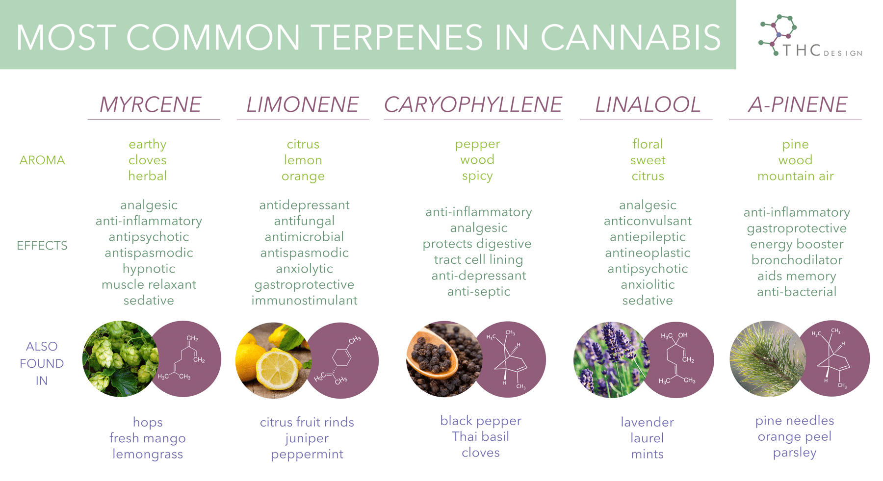 printable terpene chart printable terpene chart