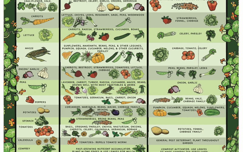 Collection Of Companion Planting Charts Guides And PDFs World Water Reserve