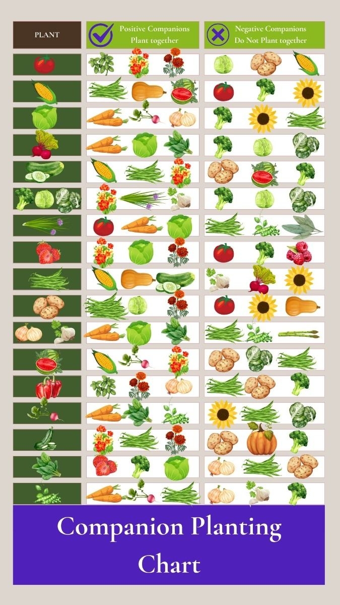 printable companion planting chart