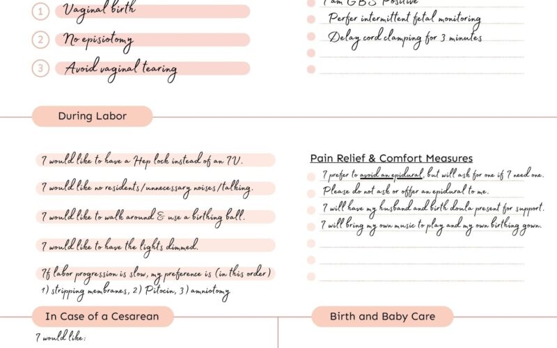 Create Your Perfect Birth Plan Free Template Checklist Baby Chick