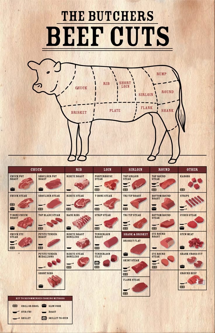 printable beef cuts chart printable beef cuts chart