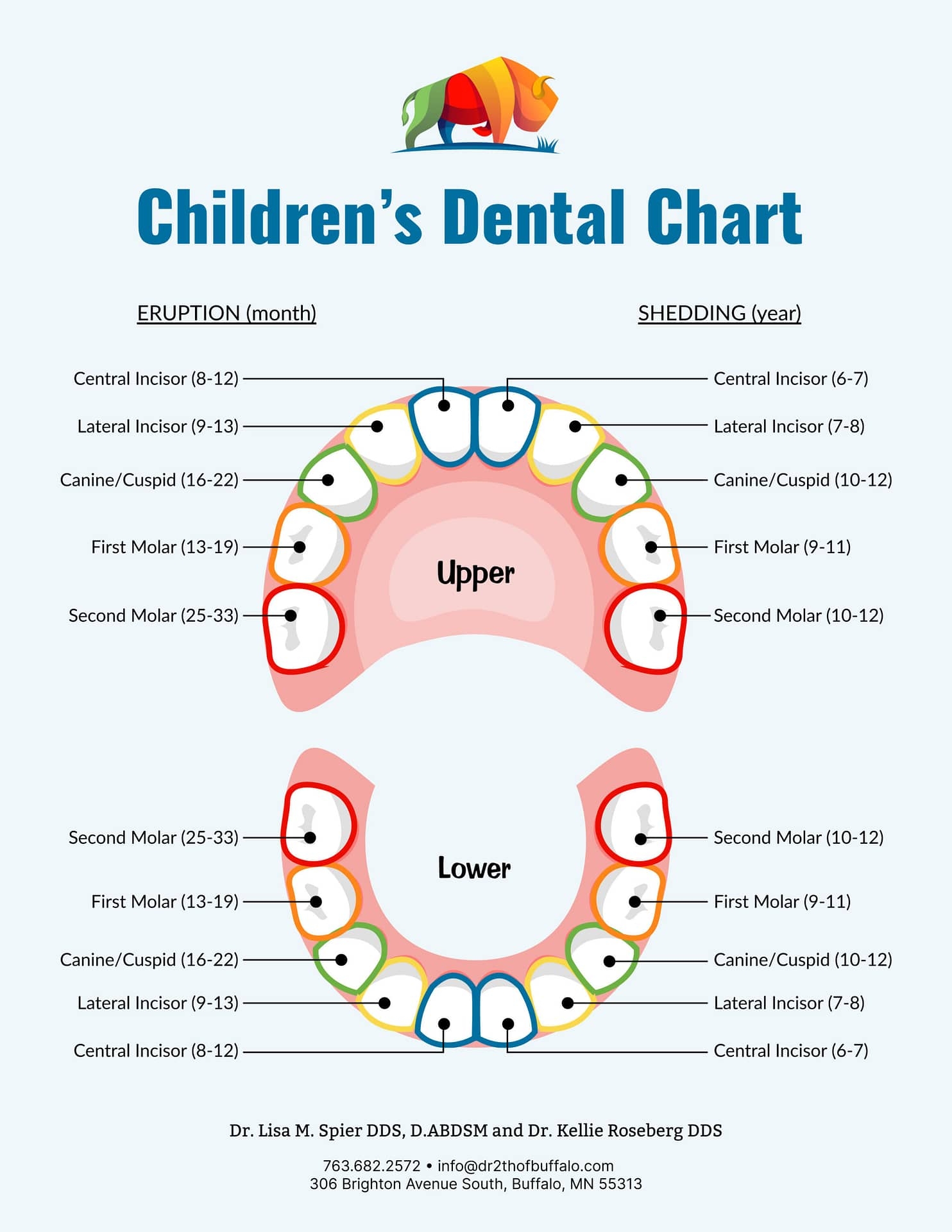 printable teething chart