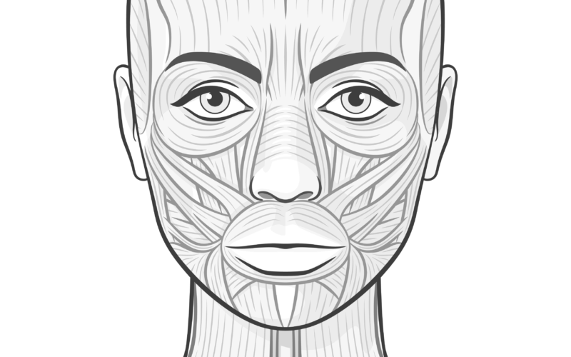 Face Charts Templates For Spas Salons And Tattoo Shops Mangomint Salon And Spa Software