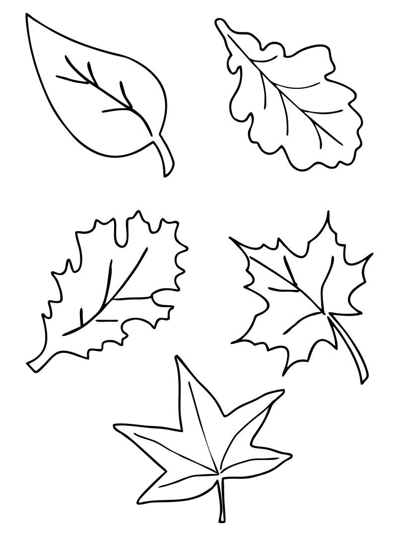 fall leaves printable template
