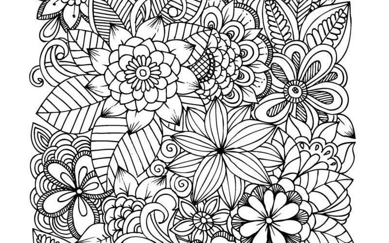 Flower Coloring Pages 30 Flowers Adult Coloring Pages 30 Digital Coloring Pages printable PDF Download Etsy