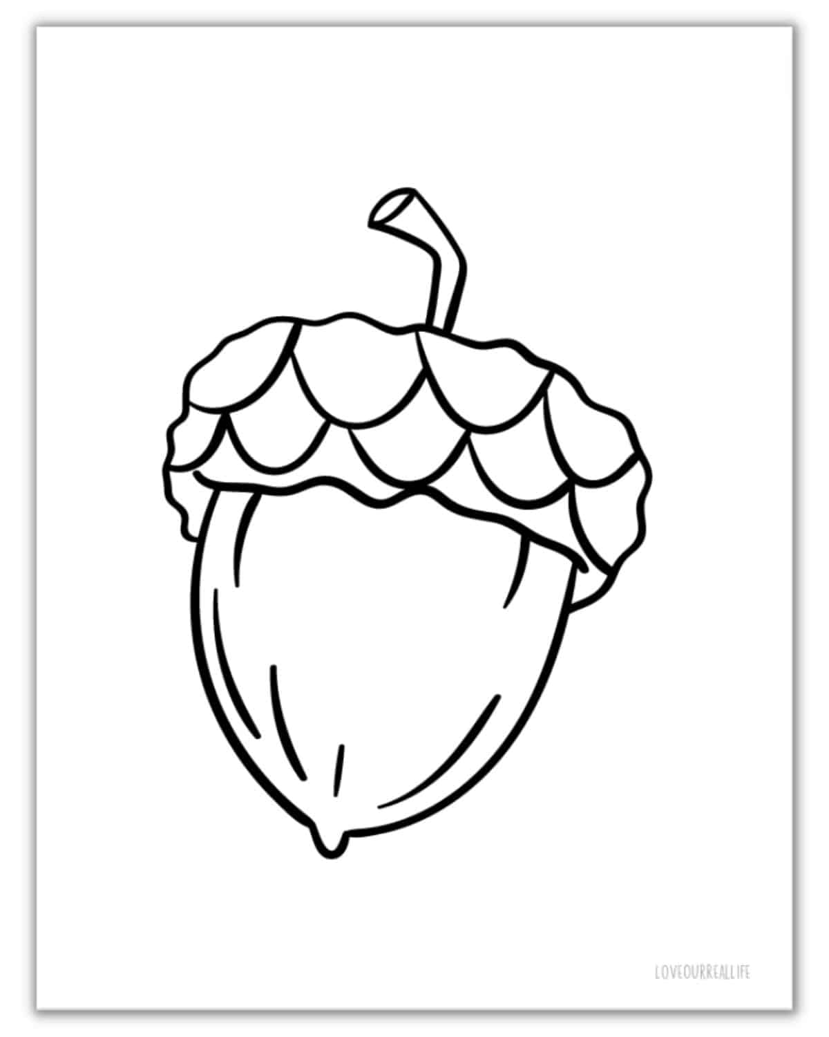 free acorn template printable