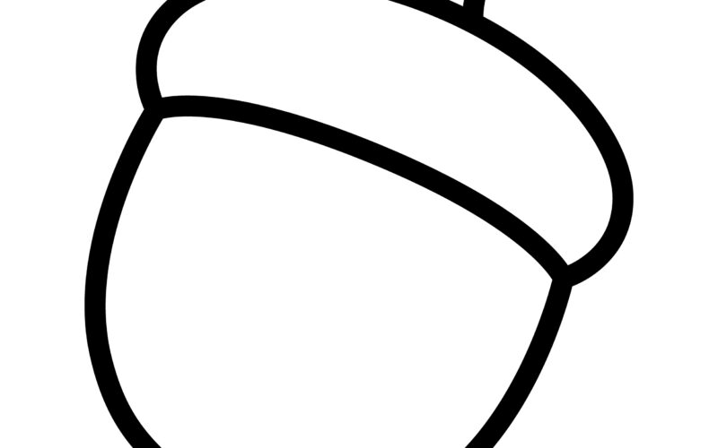 FREE Acorn Templates For Crafts Happy Toddler Playtime