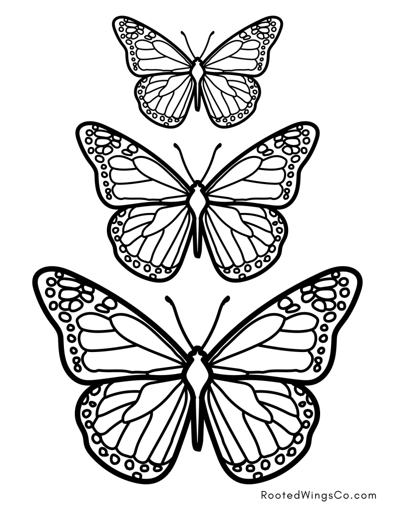printable butterflies to color