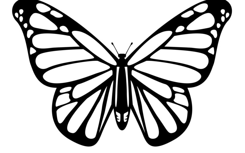 Free Butterfly Stencil Monarch Butterfly Outline And Silhouette