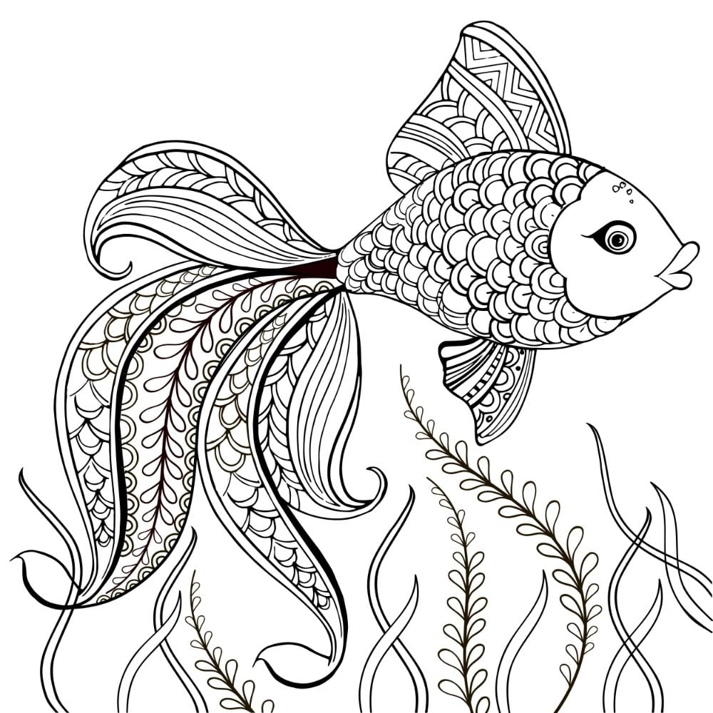 free printable fish coloring sheets