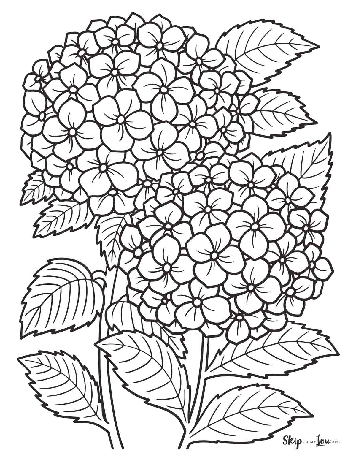coloring pages of flowers printable