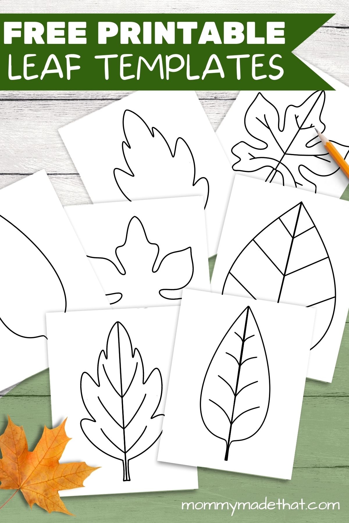 Free Leaf Templates Outlines Tons Of Printables  Free Leaf Templates Outlines Tons Of Printables