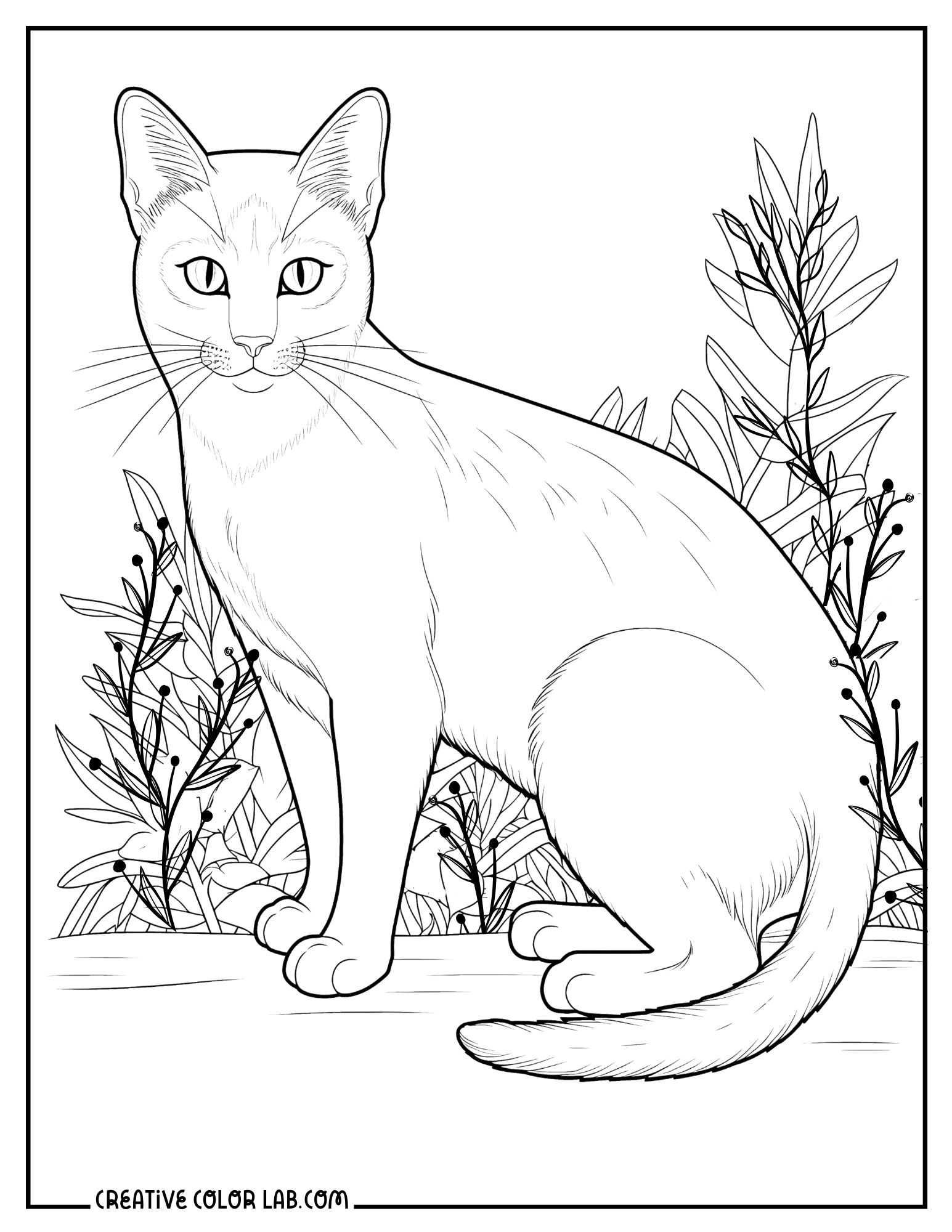 free printable cat coloring pages