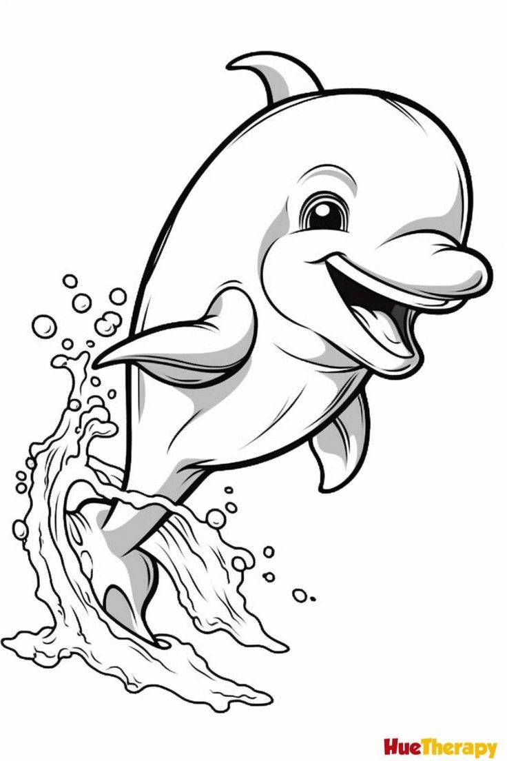 printable dolphin coloring sheets