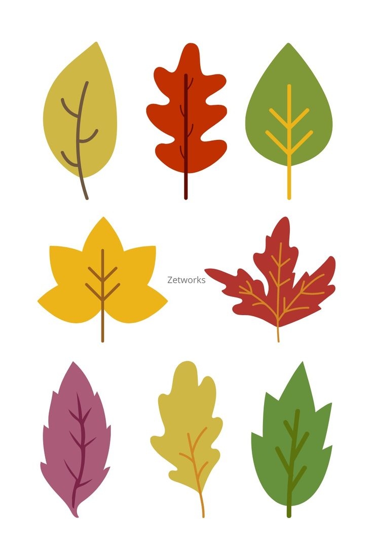 Free Printable Leaf Shadow Matching Activity
