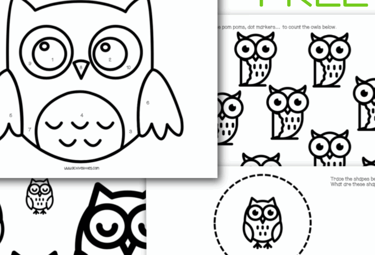 Free Printable Owl Template Active Littles
