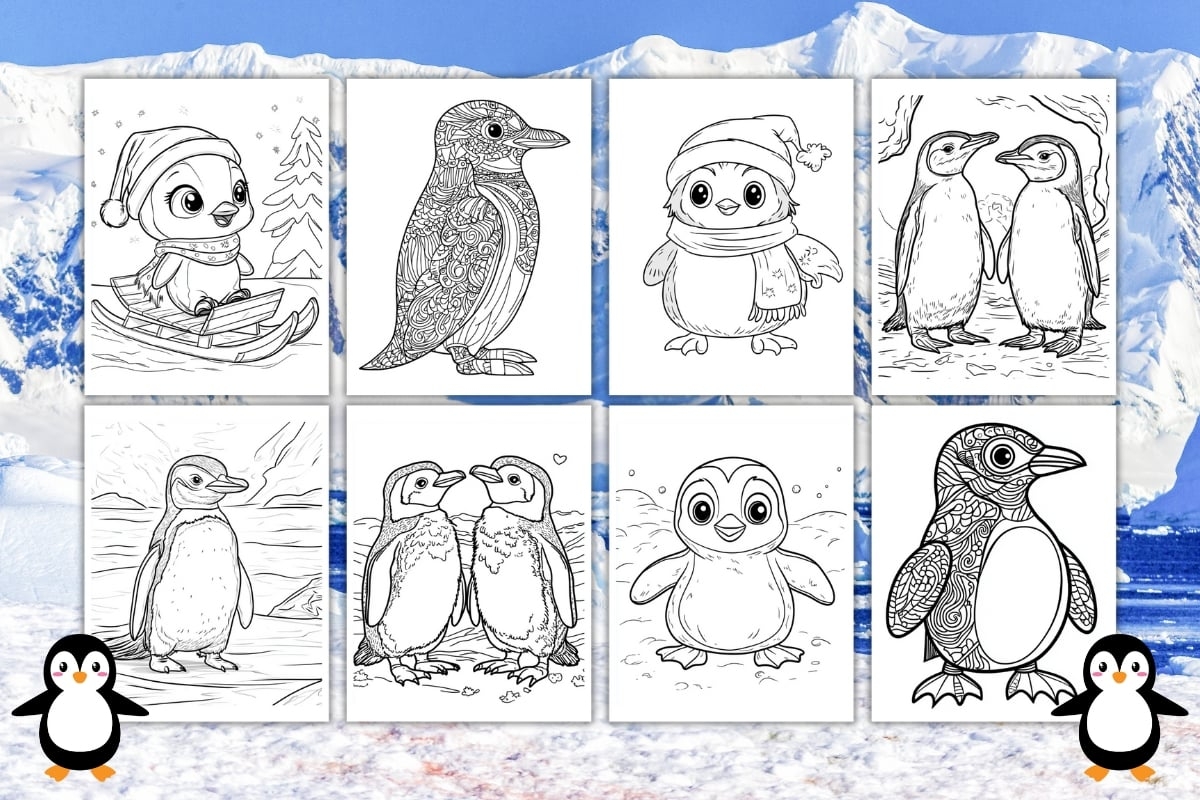 penguin coloring sheets printable