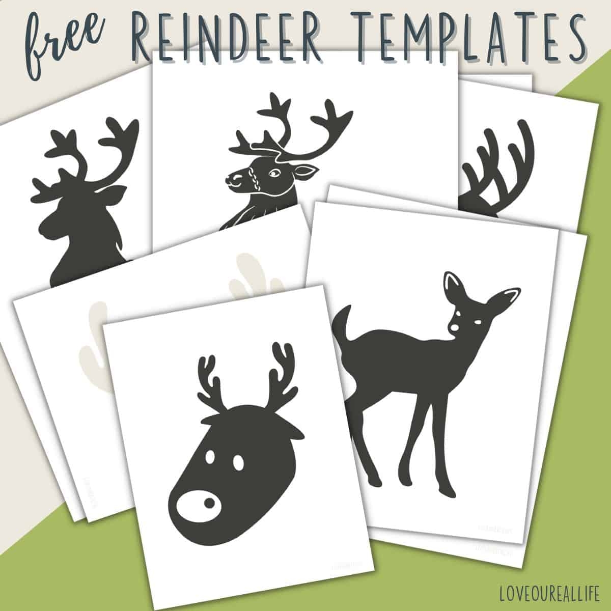 FREE Printable Reindeer Template Paper Craft For Kids Love Our Real Life