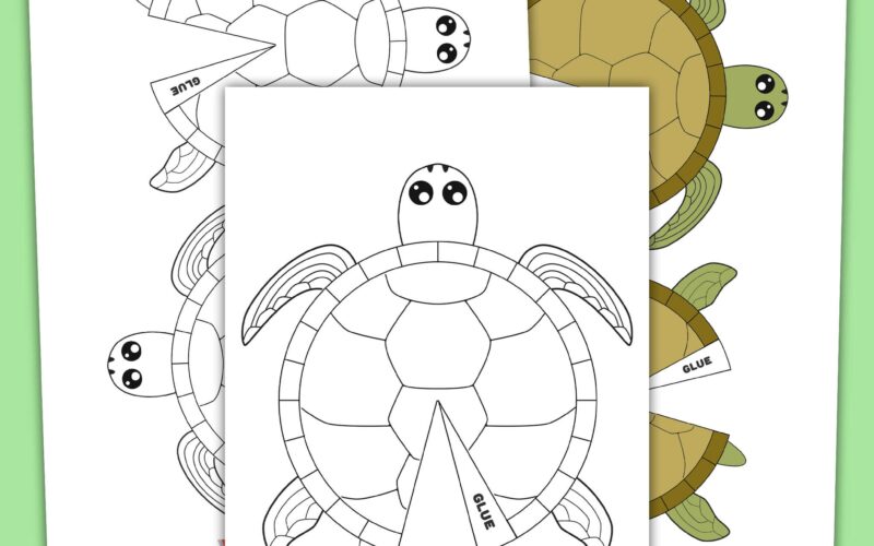 Free Printable Turtle Craft Template For Preschool Art Project