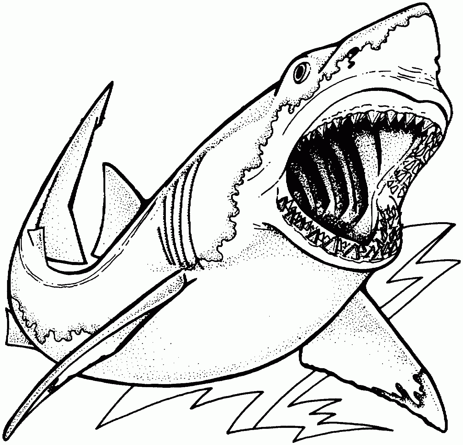 Free Shark Coloring Pages Free Shark Coloring Pages