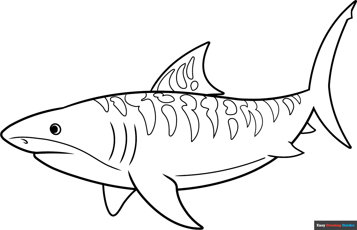 shark coloring pages printable