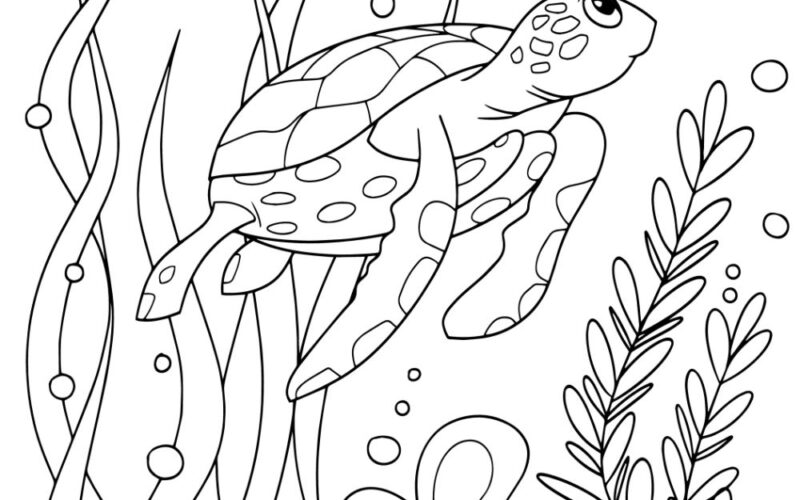 Free TURTLE Coloring Pages For Download Printable PDF