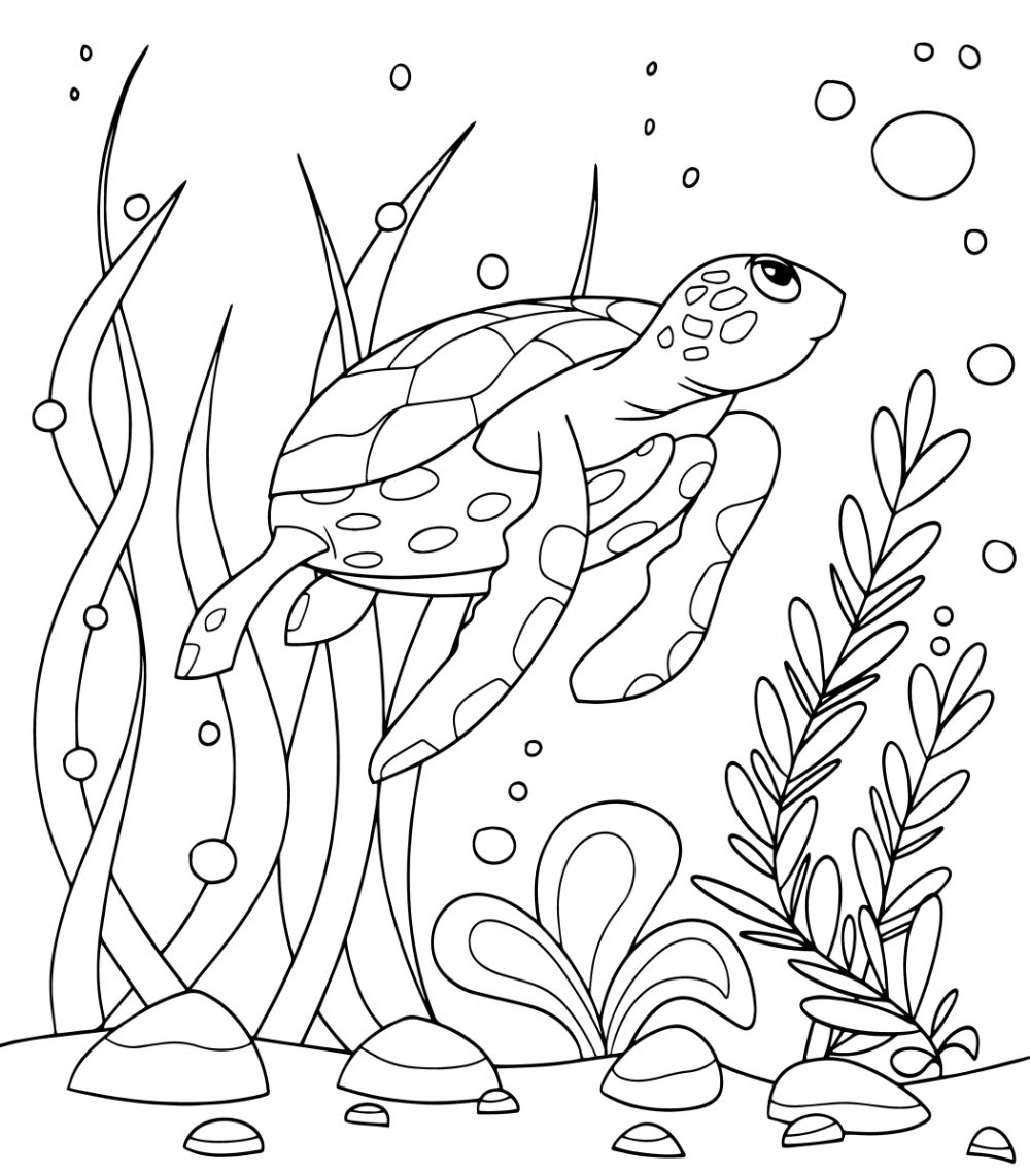 Free TURTLE Coloring Pages For Download Printable PDF Free TURTLE Coloring Pages For Download Printable PDF
