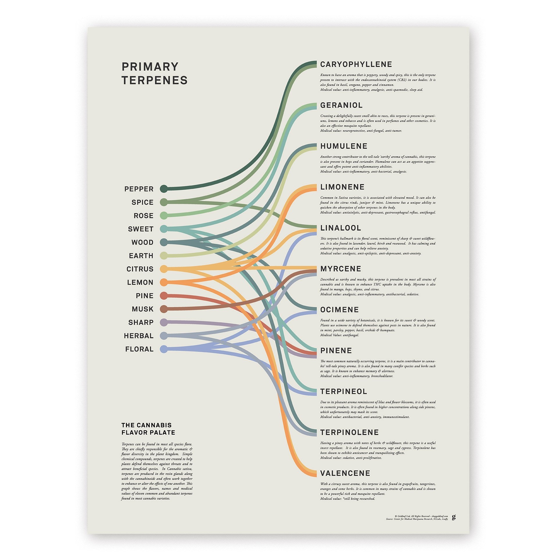 Goldleaf Primary Terpenes The Cannabis Flavor Palate Art Print Terpene Poster Marijuana Flavors Infographic Weed Chart Wall Art Designed 18x24 Amazon in Home Kitchen Goldleaf Primary Terpenes The Cannabis Flavor Palate Art Print Terpene Poster Marijuana Flavors Infographic Weed Chart Wall Art Designed 18x24 Amazon in Home Kitchen
