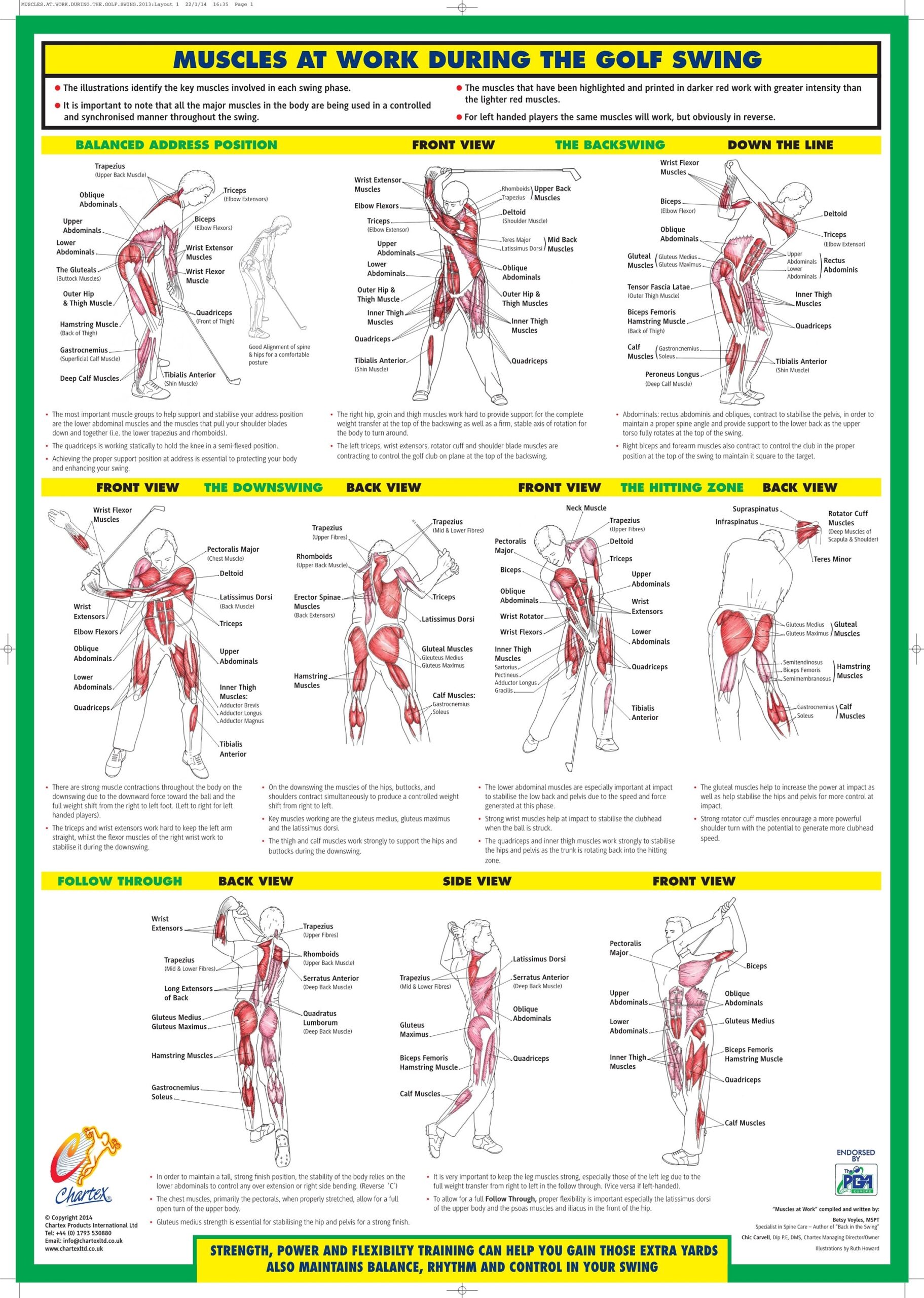 printable golf ball position chart