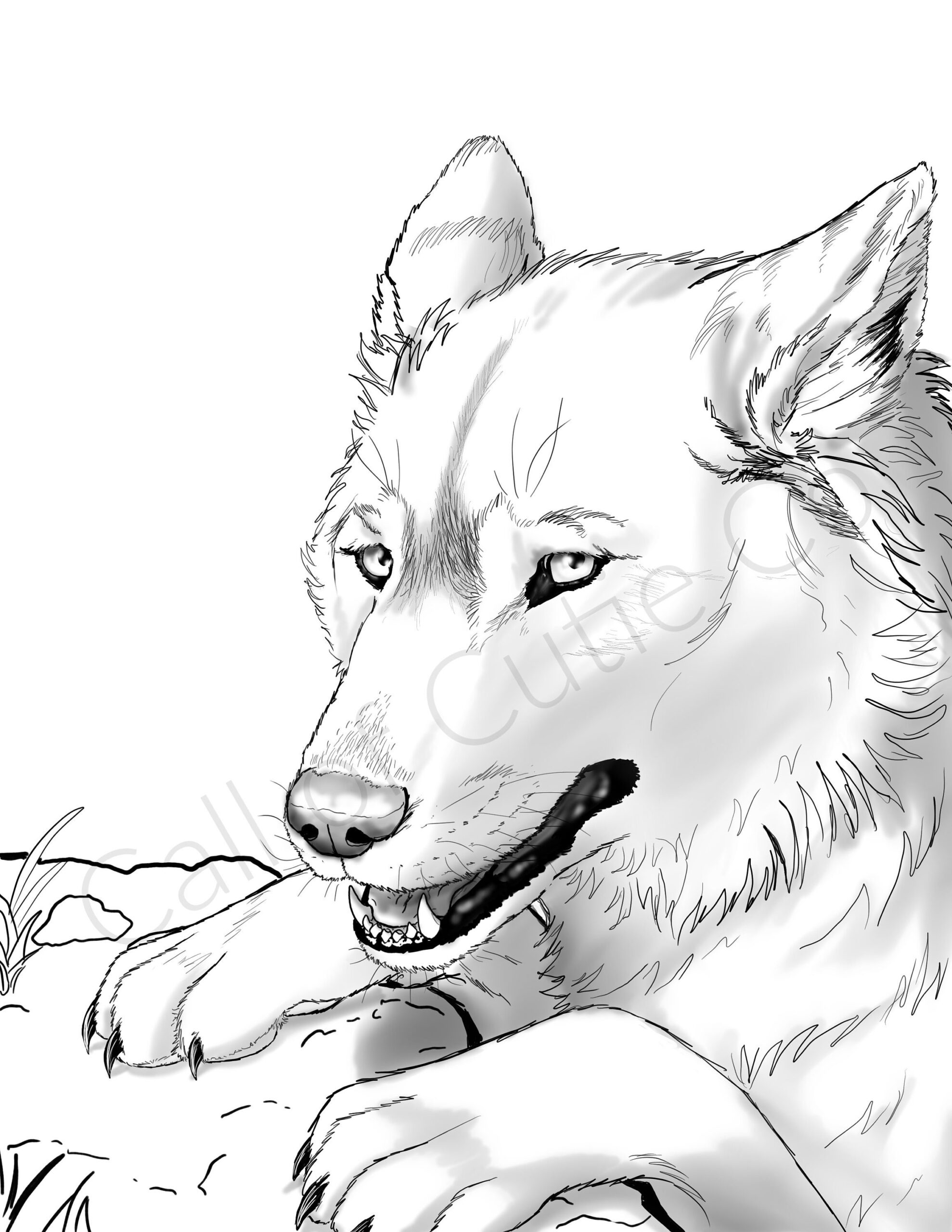 wolf printable coloring pages