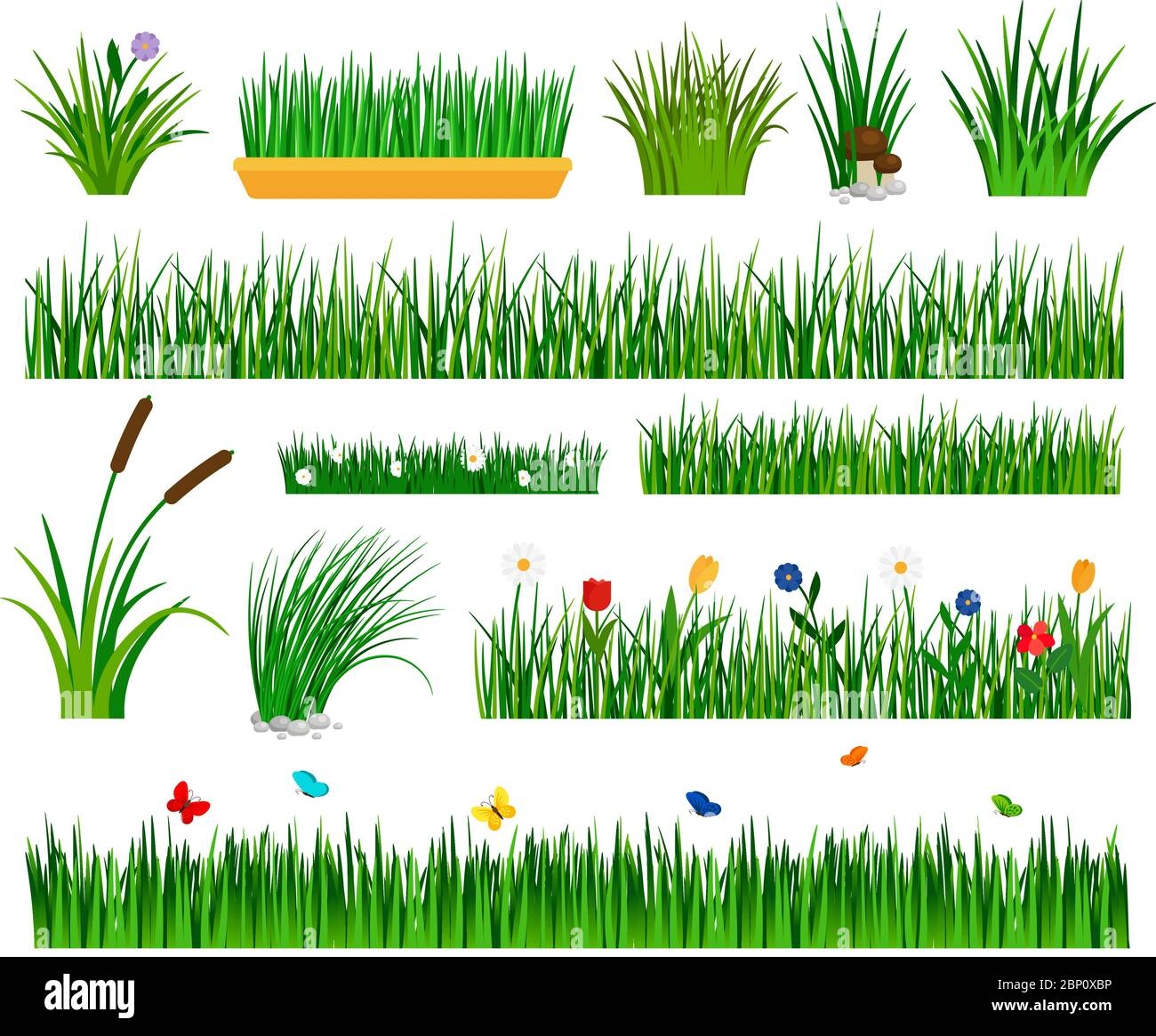 Growing Grass Template For Garden Vector Gardener Section And Boxes With Flowers Bulrush And Sedge Bushes Isolated On White Stock Vector Image Art Alamy